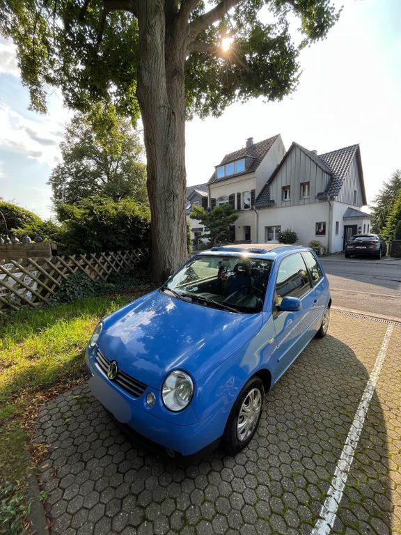 Lupo