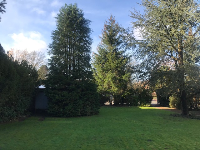 Exklusives Wohnen im Villenviertel von St. Mauritz! - Doppelhaushälfte Münster St. Mauritz | Angebot:20285089