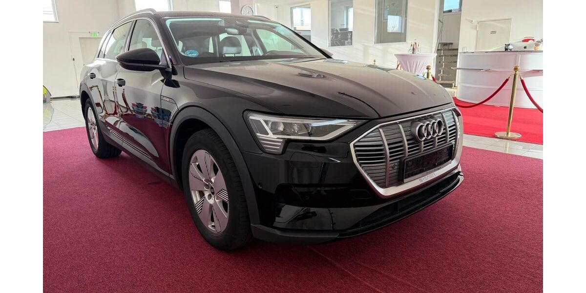 Audi e-tron 89.999 km 21.999 &euro; Gehrden 30989
