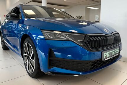 Skoda Octavia 19.900 km 33.640 € Barth 18356
