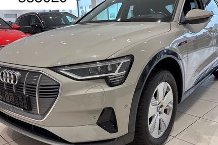 Audi e-tron 59.000 km 28.990 &euro; Steinbach-Hallenberg OT Herges-Hallenberg 98587
