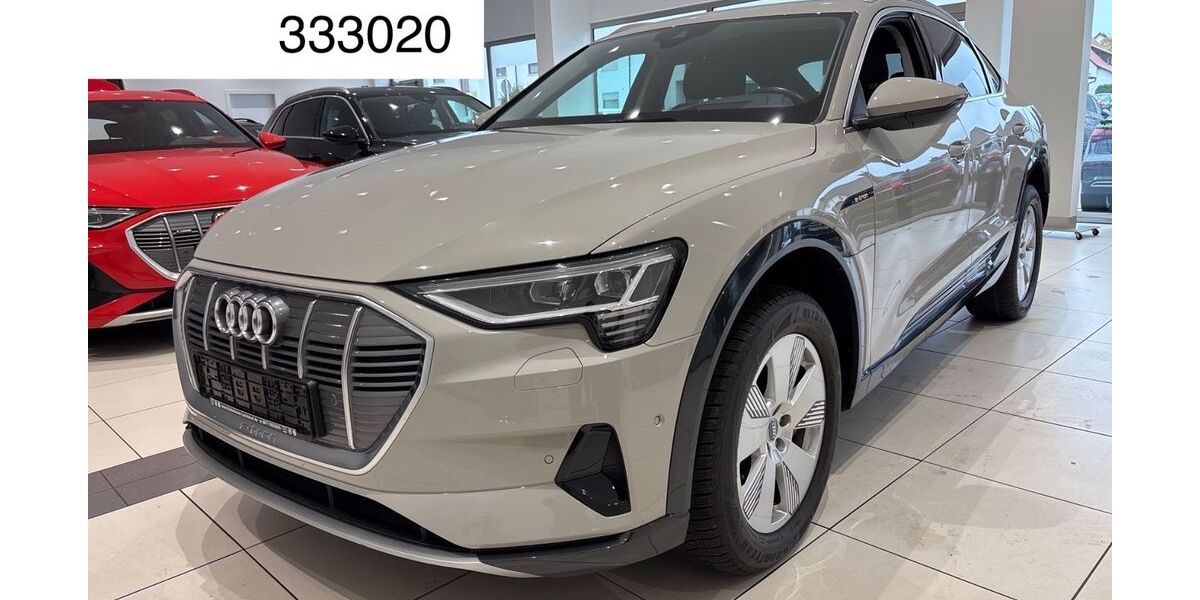 Audi e-tron 59.000 km 28.990 &euro; Steinbach-Hallenberg OT Herges-Hallenberg 98587