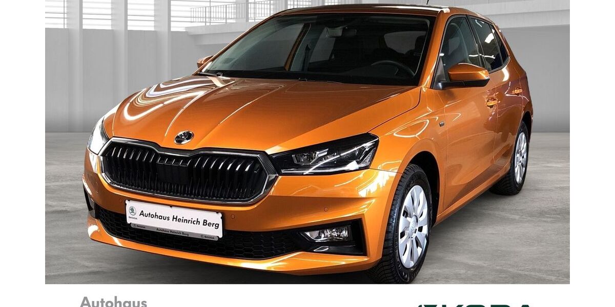 Skoda Fabia 7.971 km 21.950 &euro; Oldenburg / Holst. 23758