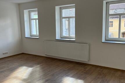 saniertes Stadthaus in Kamenzmit ruhigem Garten für Deine Familie 8 zimmer