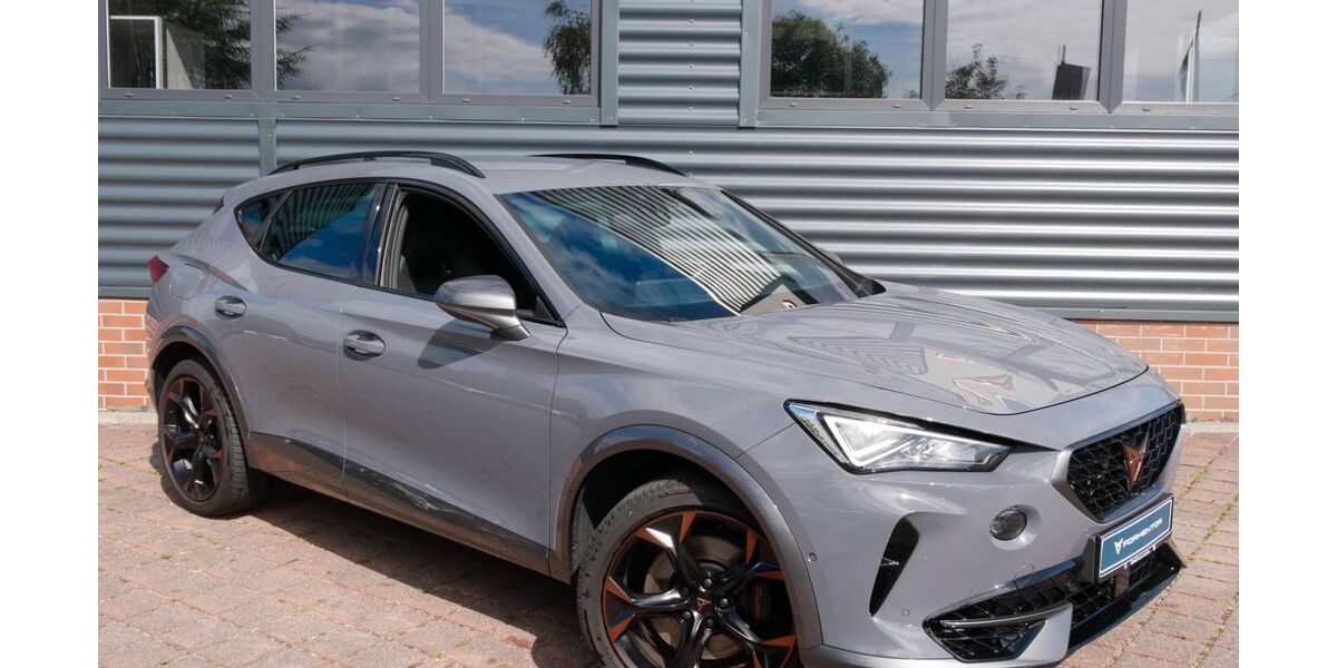 Cupra Formentor 43.990 km 30.490 &euro; Schneeberg 08289