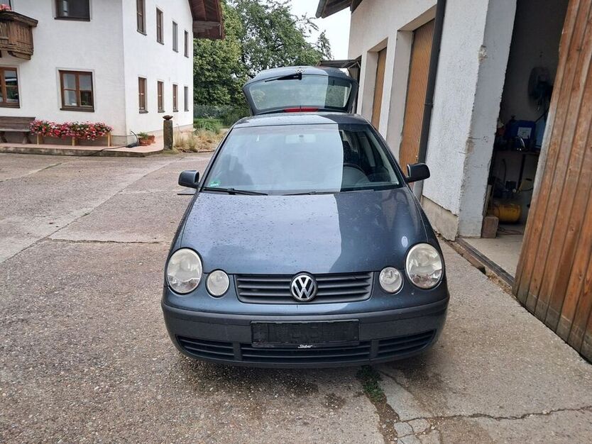 Polo