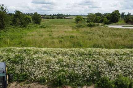 Grundstück zu verkaufen in Taucha 172.500 € 575 m² zimmer