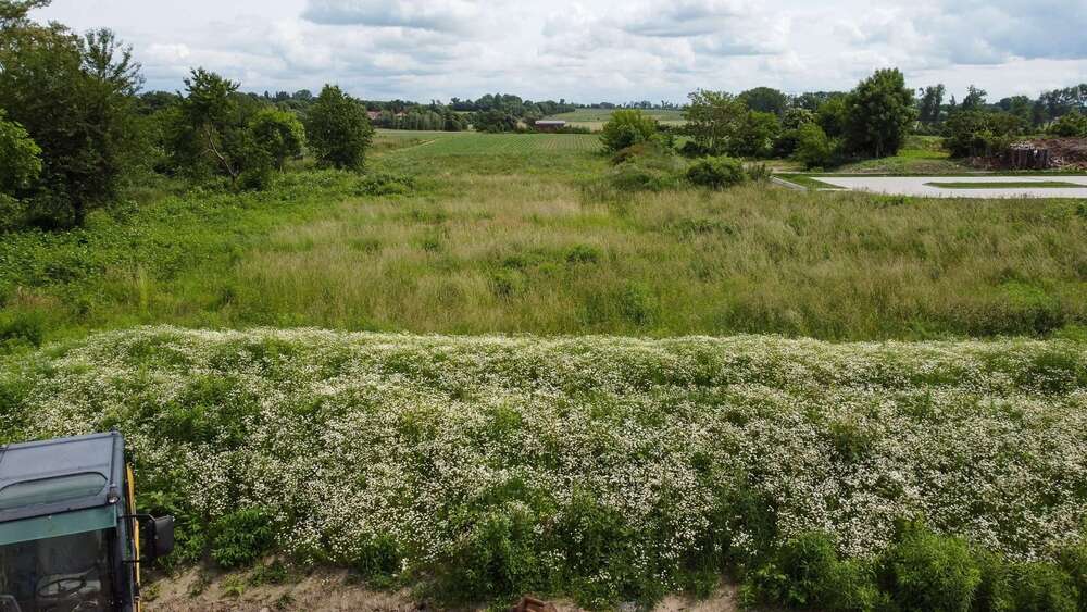 Grundstück zu verkaufen in Taucha 172.500 € 575 m² zimmer