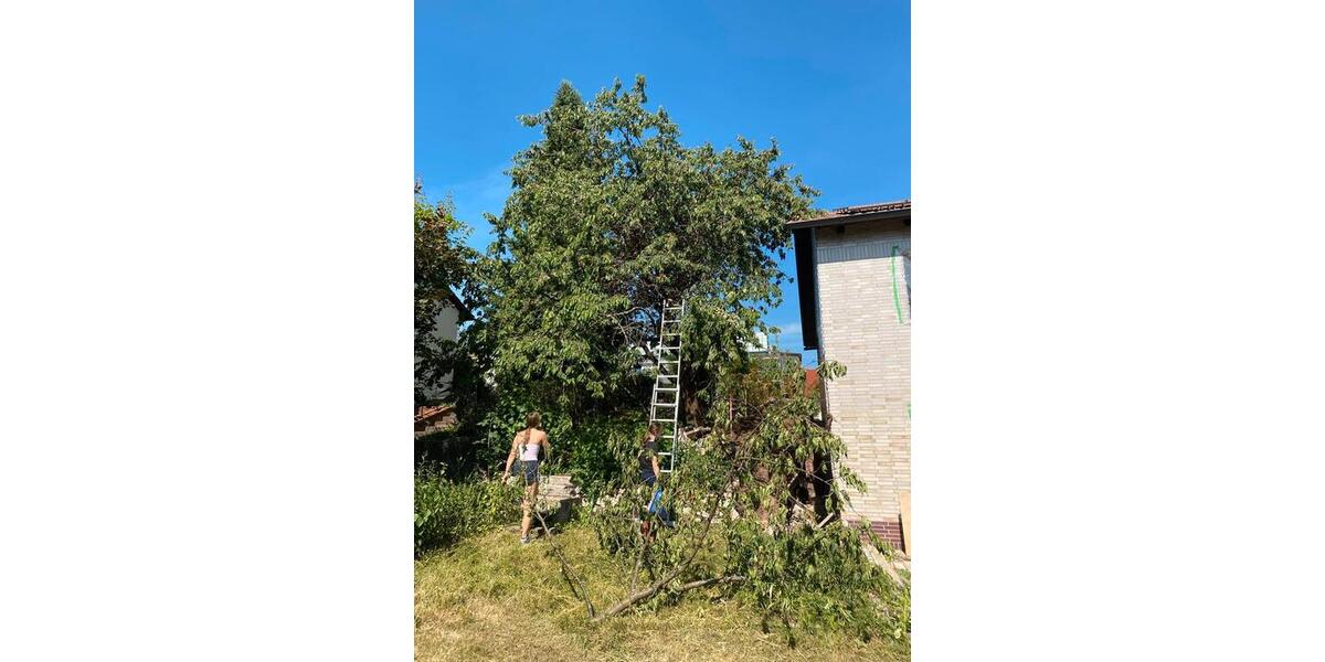 Einfamilienhaus Ebern - 6 Zimmer, 180 m&sup2;, 2.100&euro; | Angebot:25895296