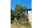 Einfamilienhaus Ebern - 6 Zimmer, 180 m&sup2;, 2.100&euro; | Angebot:25895296