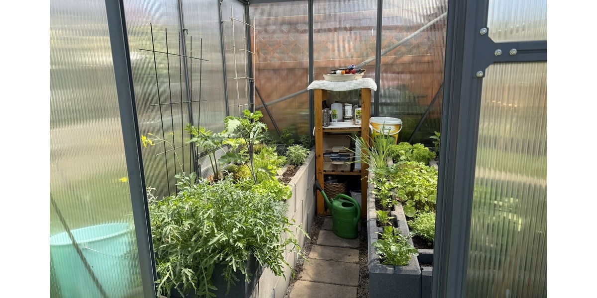 Mediterranes Landhaus mit Wohlfühlgarten und Wellnessbereich in Nauen-Wachow - Einfamilienhaus Nauen | Angebot:27071277