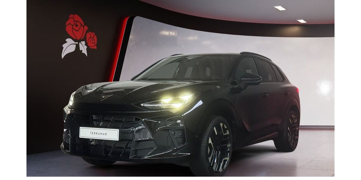 Cupra Terramar 9.997 km 51.490 &euro; Zimmern ob Rottweil 78658