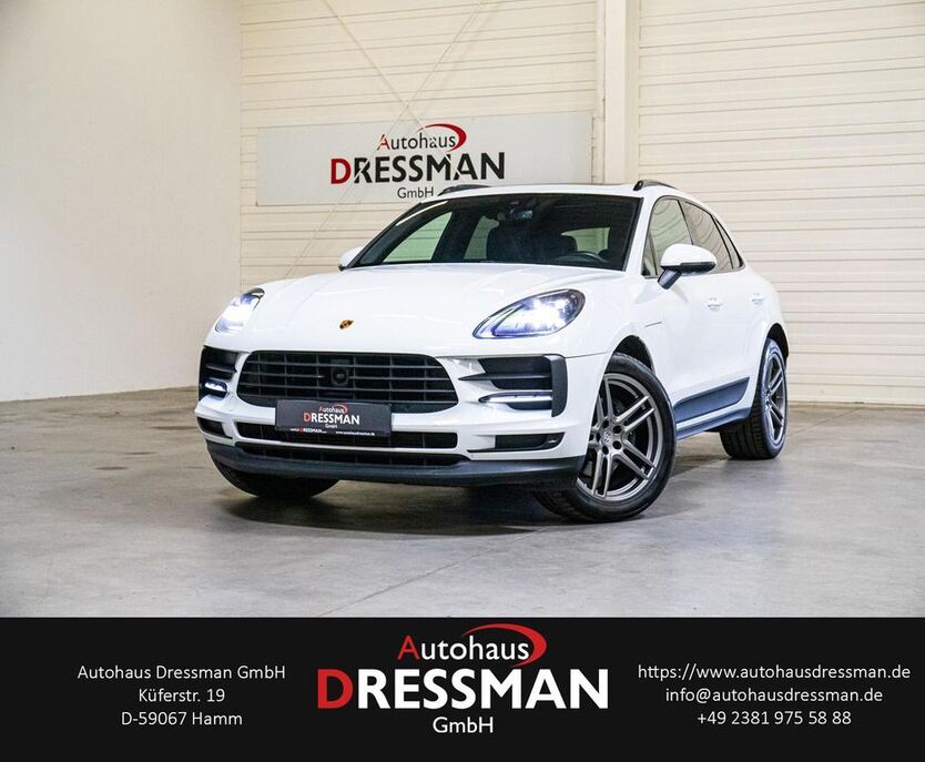 Macan