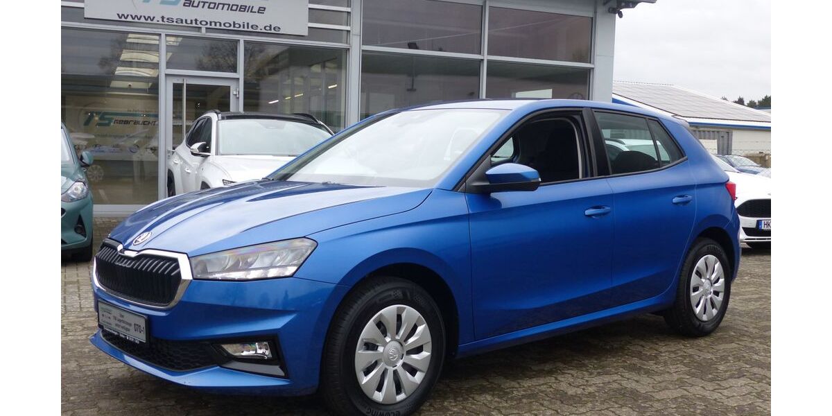 Skoda Fabia 2.500 km 21.990 &euro; Soltau 29614