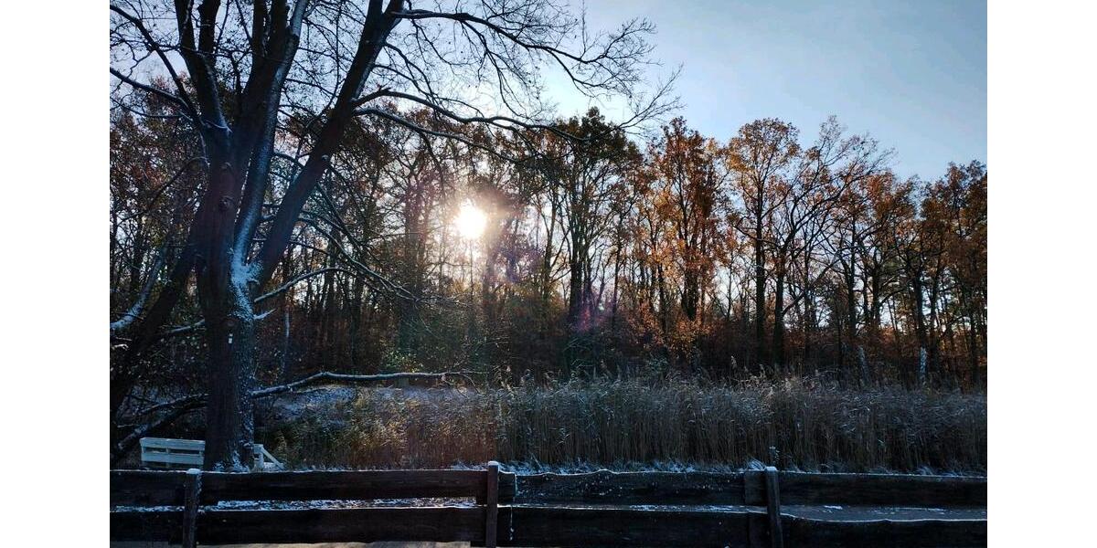 Einfamilienhaus Wusterwitz - 419.000&euro; | Angebot:24876199