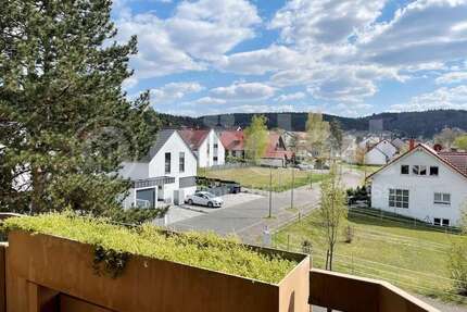 Wohnung zum Mieten in Erlenbach am Main 550 € 55 m²
