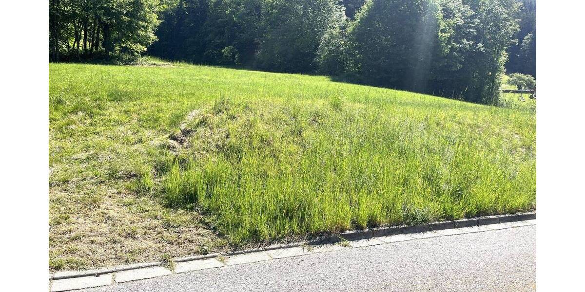 Grundstück Bernried Bremersbach - 560.000&euro; | Angebot:26658435