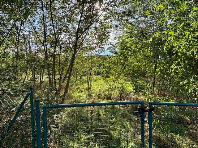 Grundstück Planebruch Oberjünne - 125.000&euro; | Angebot:25770013