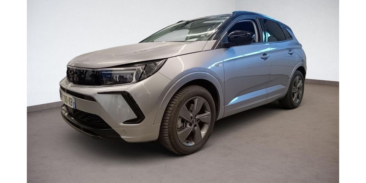 Opel Grandland (X) 3.858 km 27.985 &euro; Marktredwitz 95615