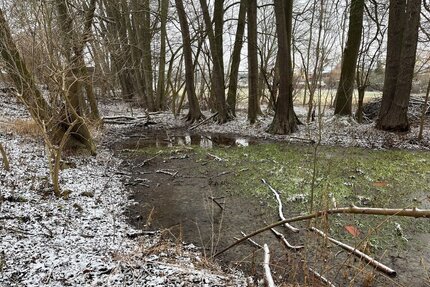 Großes Grundstück mit Bauernhaus, Teich und Baugrund - Perfekte Möglichkeit für Neubau!