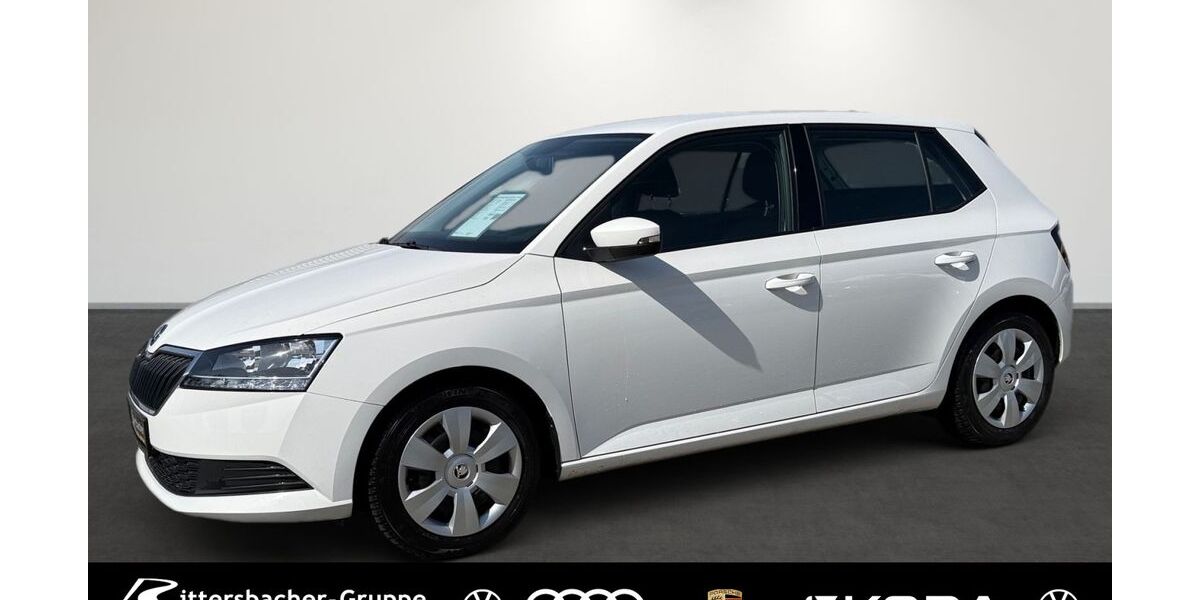 Skoda Fabia 42.798 km 12.880 &euro; Grünstadt 67269