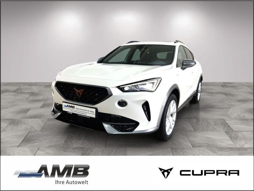 Cupra Formentor 37.540 km 26.980 € Borna 04552