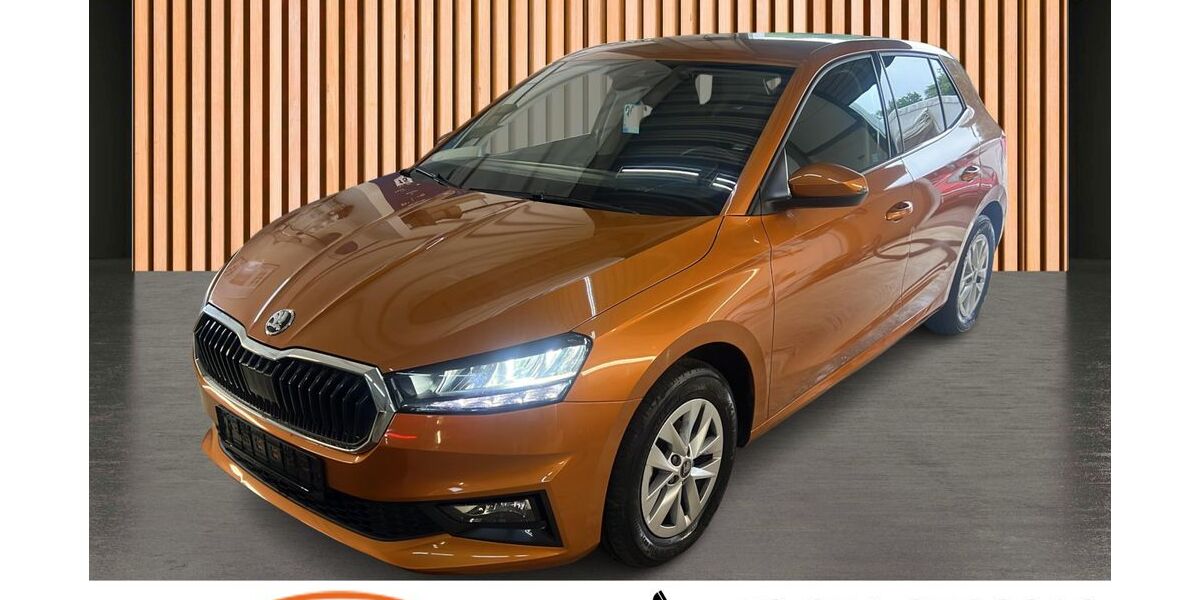 Skoda Fabia 31.182 km 16.780 &euro; Dresden 01328