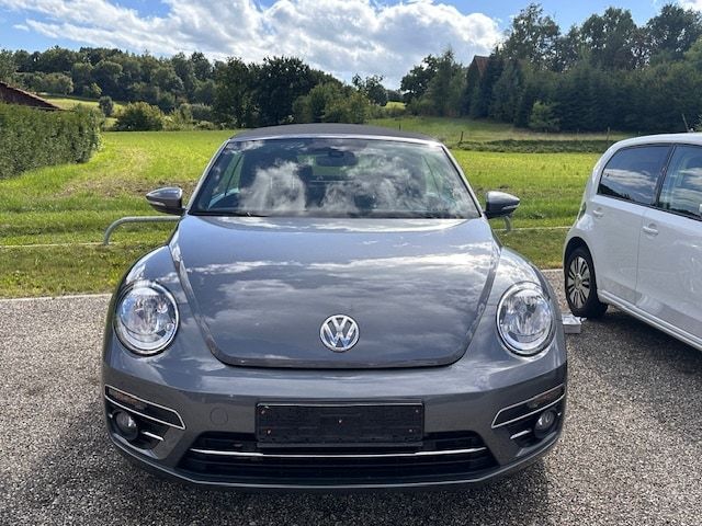 Beetle