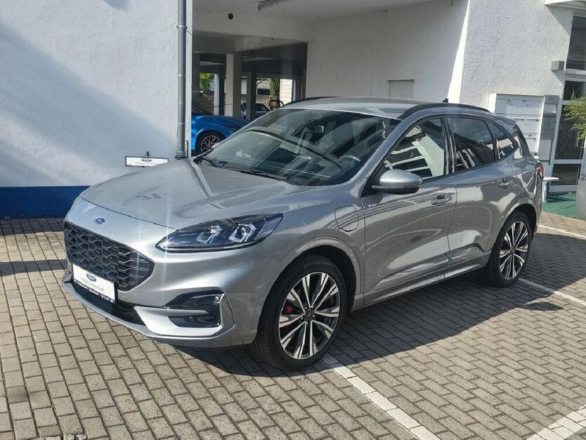 Kuga