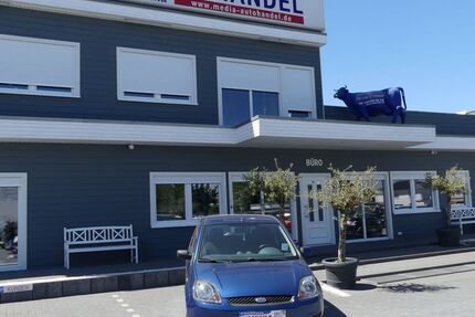 Ford Fiesta 152.000 km 2.000 &euro; Magdeburg 39108