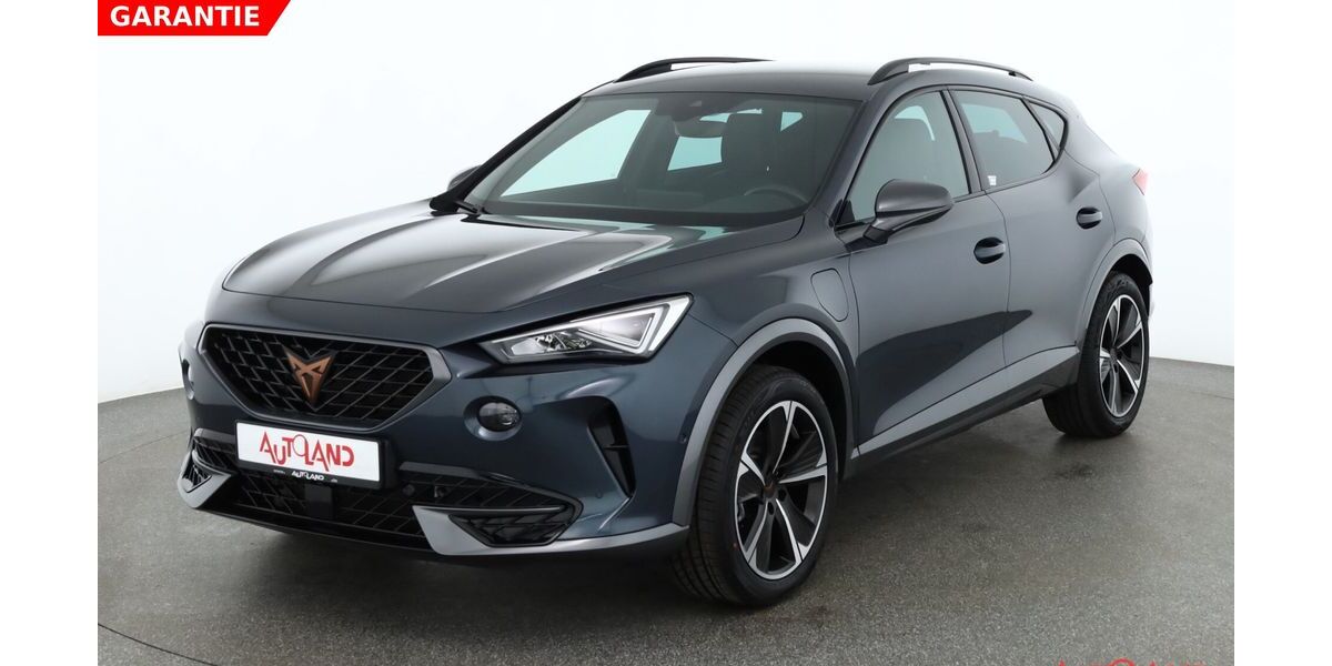 Cupra Formentor 49.987 km 25.990 &euro; Dresden 01069