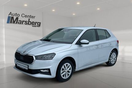 Skoda Fabia 18.382 km 17.490 &euro; Marsberg 34431