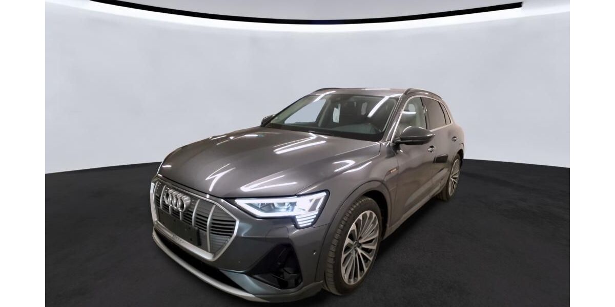 Audi e-tron 53.021 km 37.010 &euro; Hagen 58091
