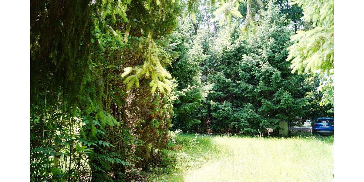 Grundstück Bad Saarow Bad Saarow-Pieskow - 259.000&euro; | Angebot:25663573