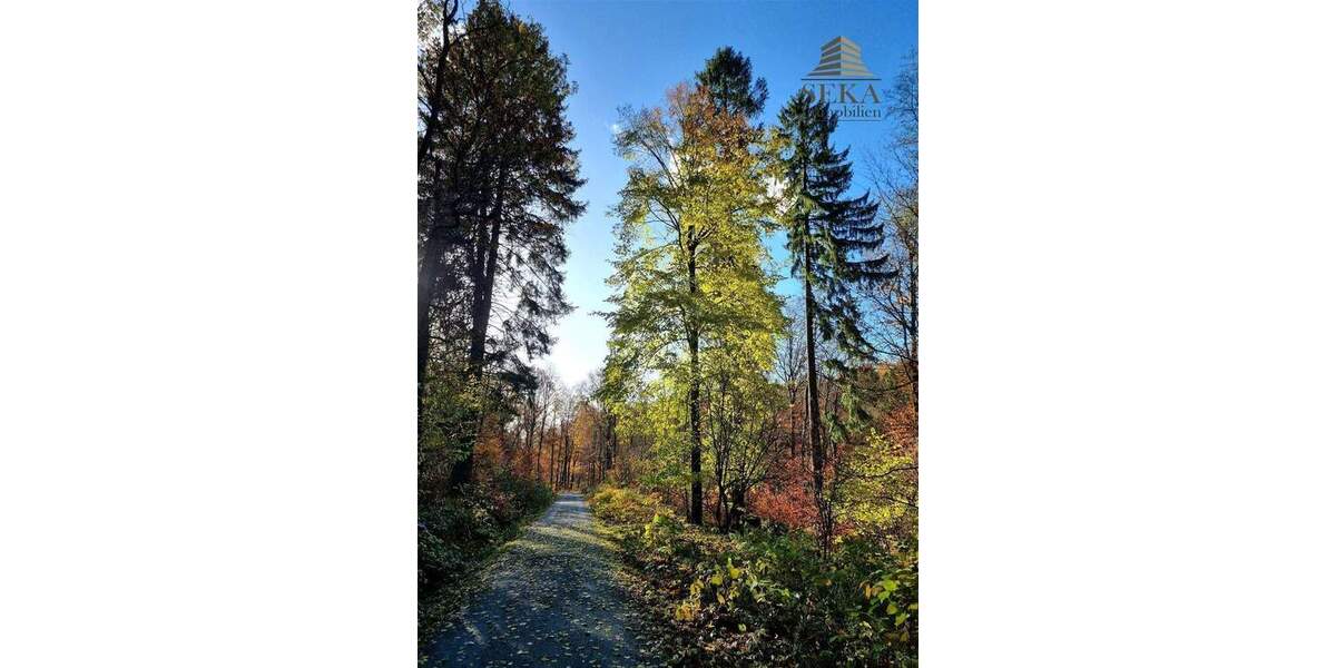 Grundstück Tiefenbach Haselbach - 45.000&euro; | Angebot:25674740