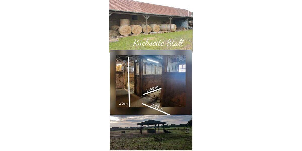 Einfamilienhaus Kyritz - 390.000&euro; | Angebot:26023573