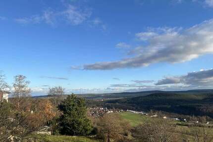 Grundstück zu verkaufen in Eisenberg (Pfalz) Stauf 199.000 € 3496 m²