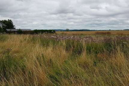 Grundstück Golm Golm - 58.000&euro; | Angebot:25109125