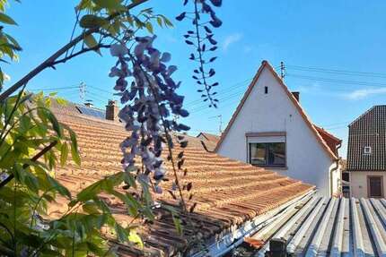 Haus zum Kaufen in Essingen 275.000 € 100 m²
