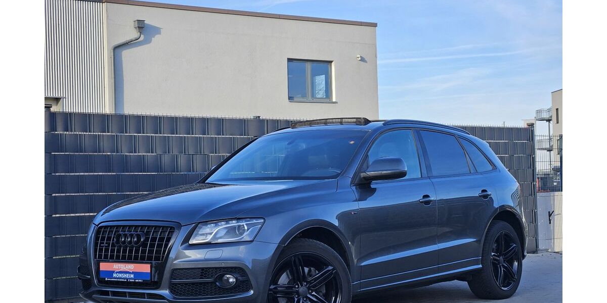 Audi Q5 177.310 km 14.450 &euro; Monsheim 67590