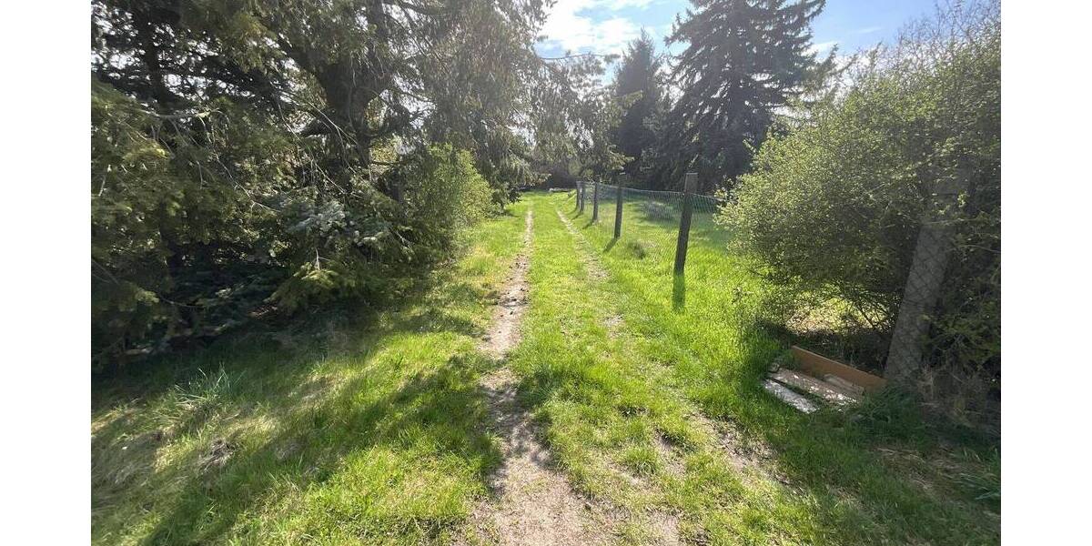 Bauernhaus, Landhaus Schönewalde Wildenau - 1 Zimmer, 300 m&sup2;, 119.000&euro; | Angebot:26798661