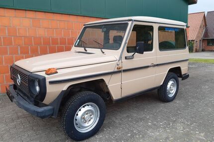 Mercedes G 300
