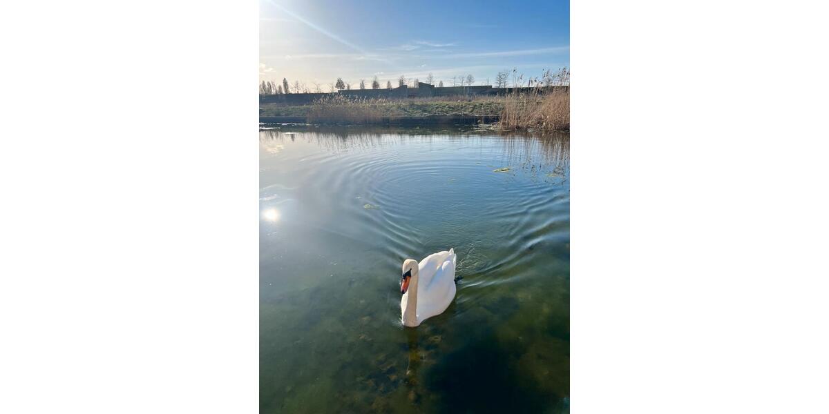 Etagenwohnung Heilbronn Kernstadt - 2 Zimmer, 60 m&sup2;, 1.200&euro; | Angebot:26034150