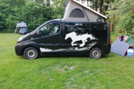 Opel Vivaro 123.456 km 13.495 &euro; Scheßlitz /Bamberg 96110