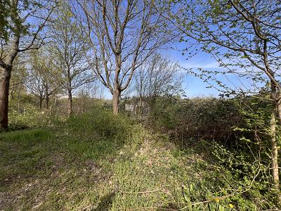 4800 M² - MIT BESTER ANBINDUNG UND INFRASTRUKTUR