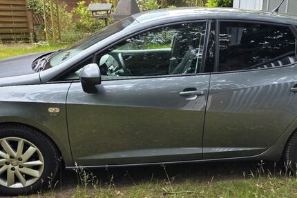 Seat Ibiza 39.800 km 7.999 &euro; Bad Bodenteich 29389