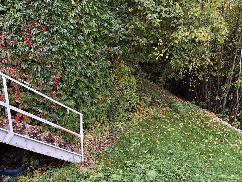 .::älteres Haus mit schönem Garten in guter Lage::. 4 zimmer