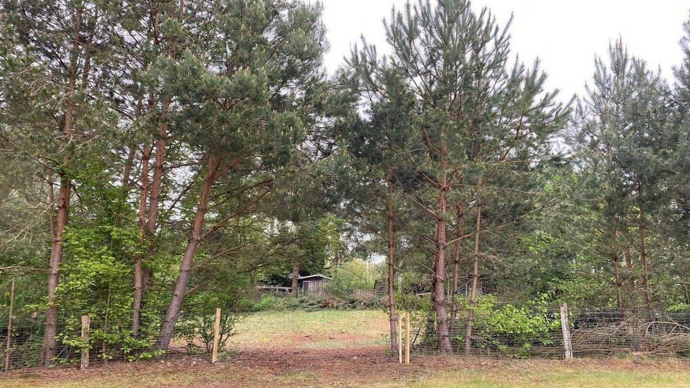 Grundstück Menz Menz - 197.000&euro; | Angebot:26450038