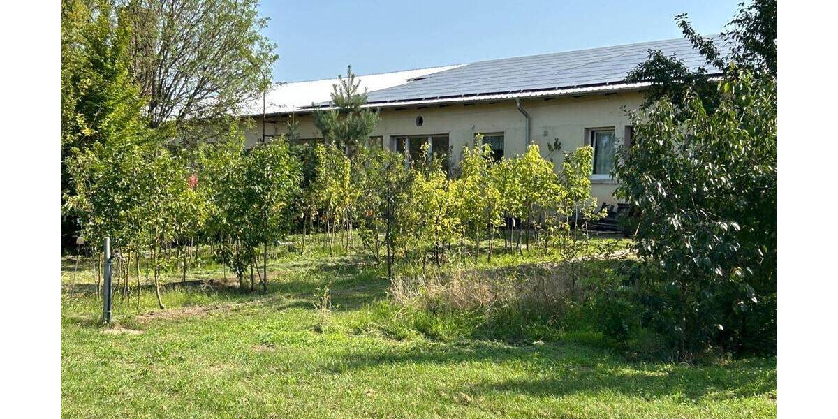 Gewerbeobjekt Kemberg Schleesen - 165.000&euro; | Angebot:26432991