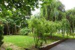 Etagenwohnung Schwerin - 2 Zimmer, 53 m&sup2;, 550&euro; | Angebot:26532084